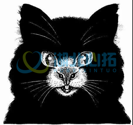 心理測(cè)試圖