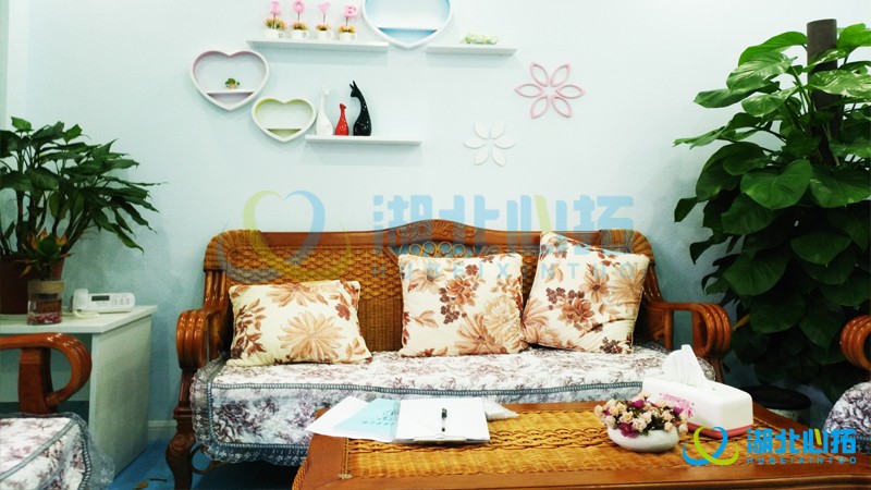 華中農(nóng)業(yè)大學(xué)心理咨詢中心